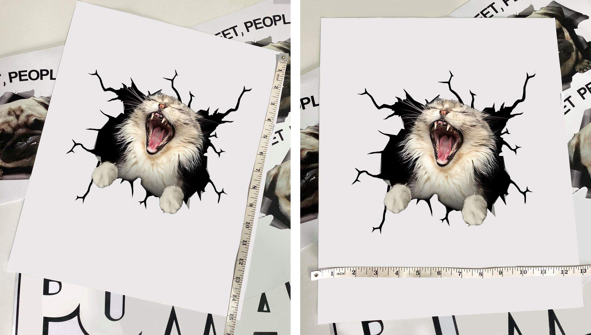 Maine Coon Cat Car Decals Pack of 2 - 10