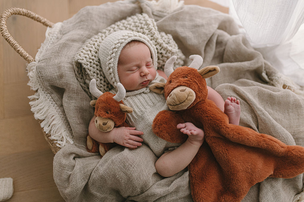 Henry the Highland Cow Baby Rattle - Soft & Safe Teething Toy for Infants & Toddlers - Perfect for Nursery, Playtime & Baby Shower Gifts