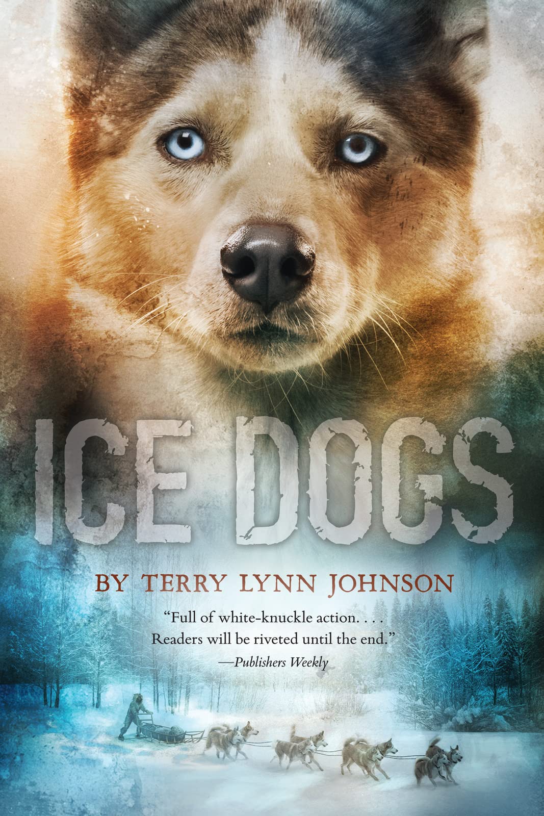 Ice Dogs - Premium Dog Cooling Vest for Hot Weather - Keep Your Pet Cool & Comfortable During Summer Walks, Hikes, and Outdoor Adventures