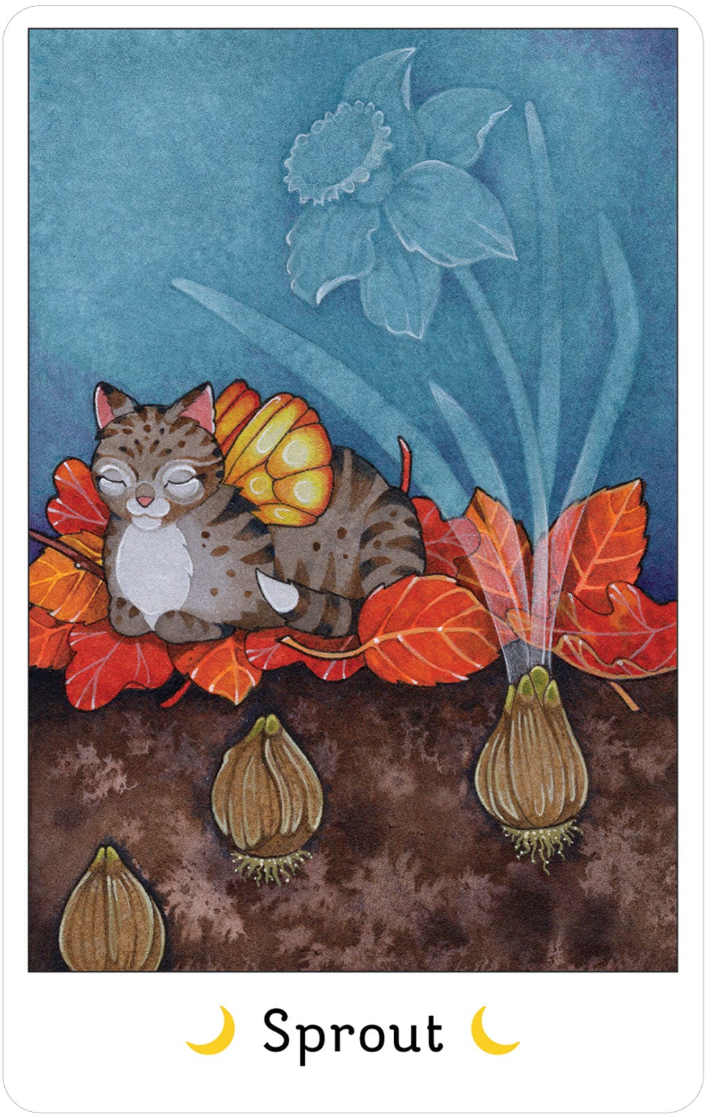 Fairy Cats Affirmation Deck and Book Set - Inspirational Oracle Cards for Daily Positivity, Meditation & Spiritual Growth