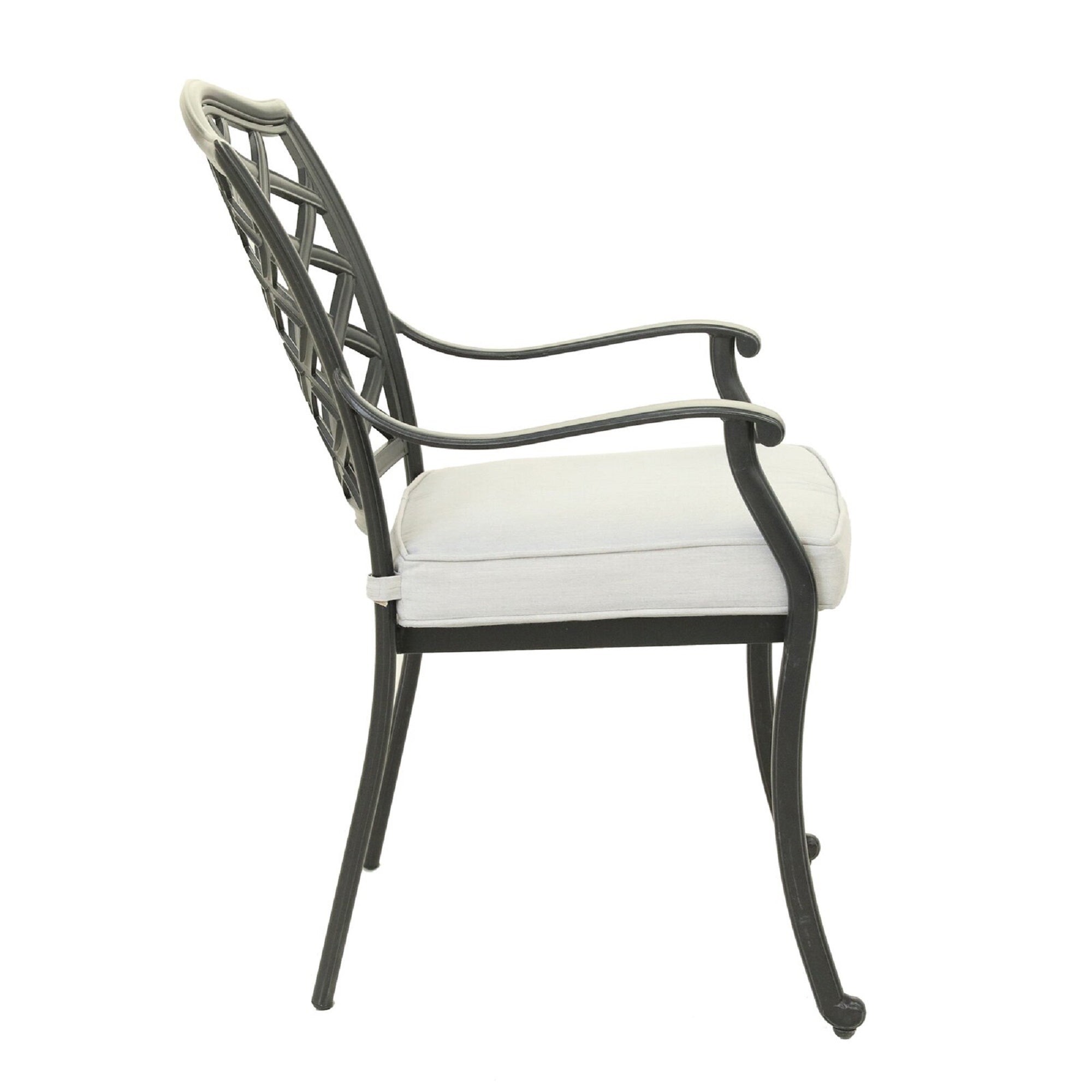 Elegant Cast Silver Dining Arm Chairs - Set of 2 for Formal Dining Room & Kitchen Table | Modern Home Decor