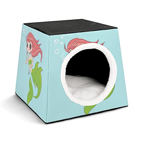 Color10
