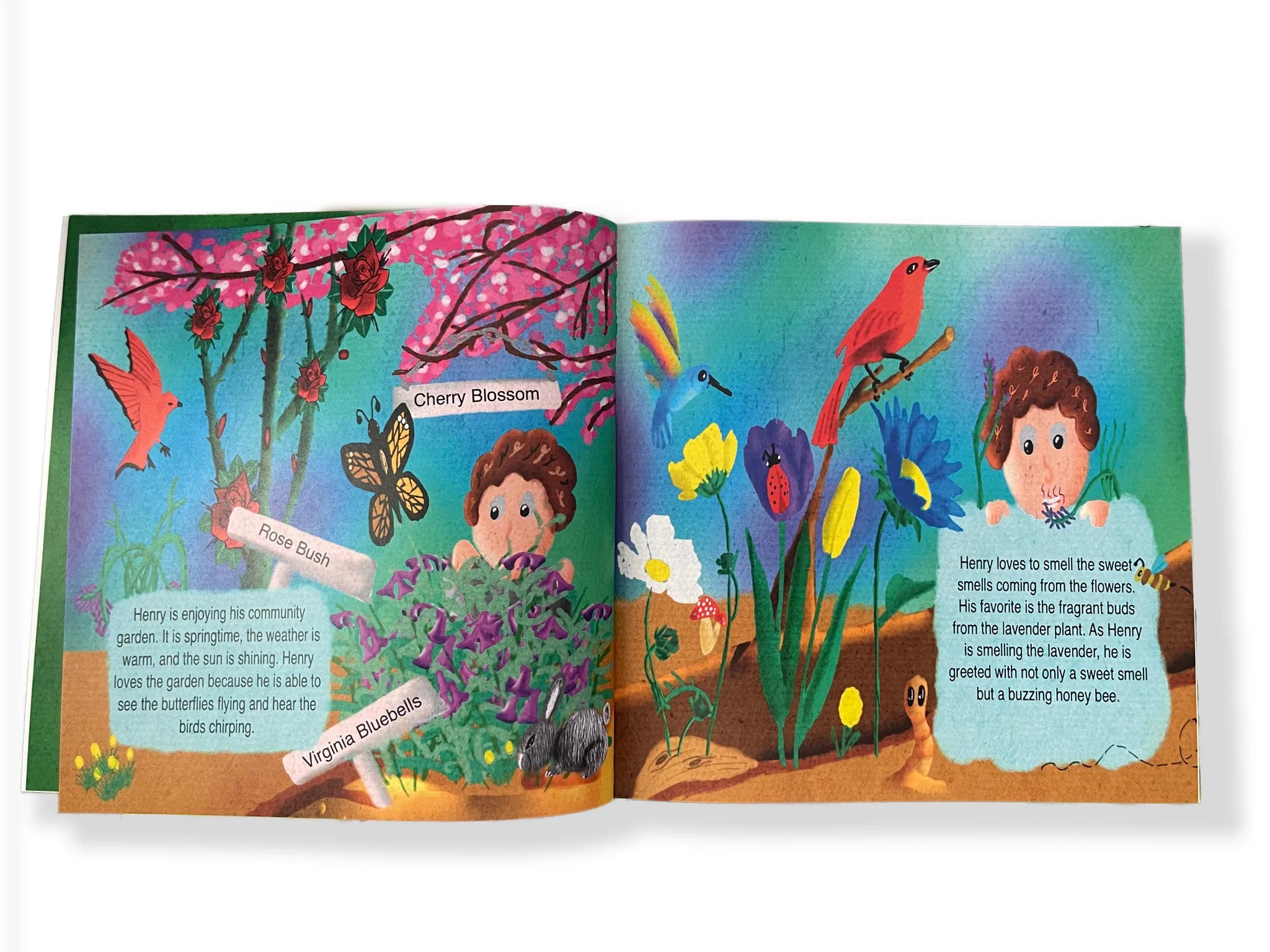 Henry Meets A Honeybee - Educational Children's Book About Bees & Nature | Perfect for Storytime, Classroom Reading & Kids' Bedtime Stories