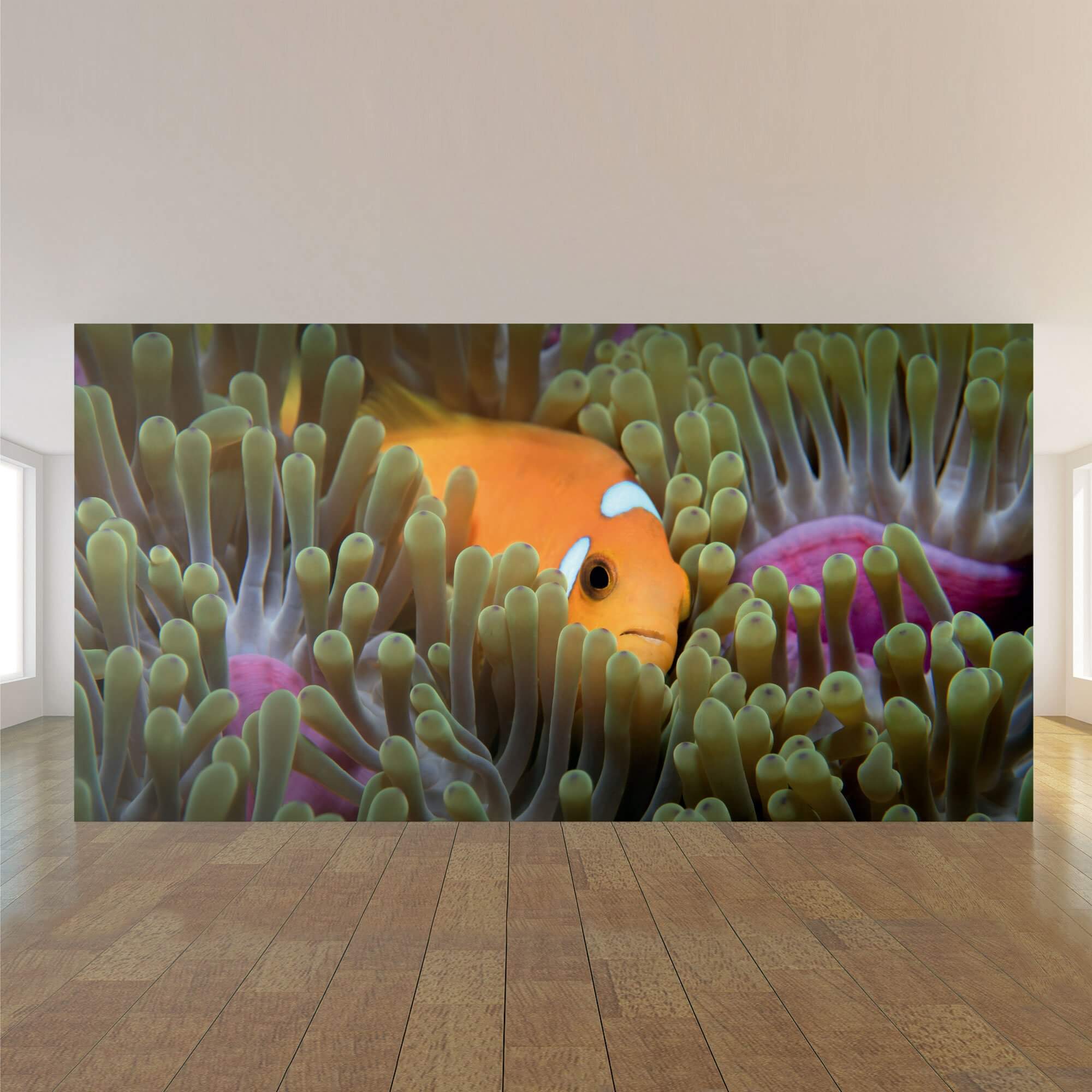 Vibrant Orange & Fuchsia Tropical Fish Peel and Stick Removable Wallpaper Mural 5395 - Perfect for Kids' Rooms, Nurseries & Coastal Home Decor