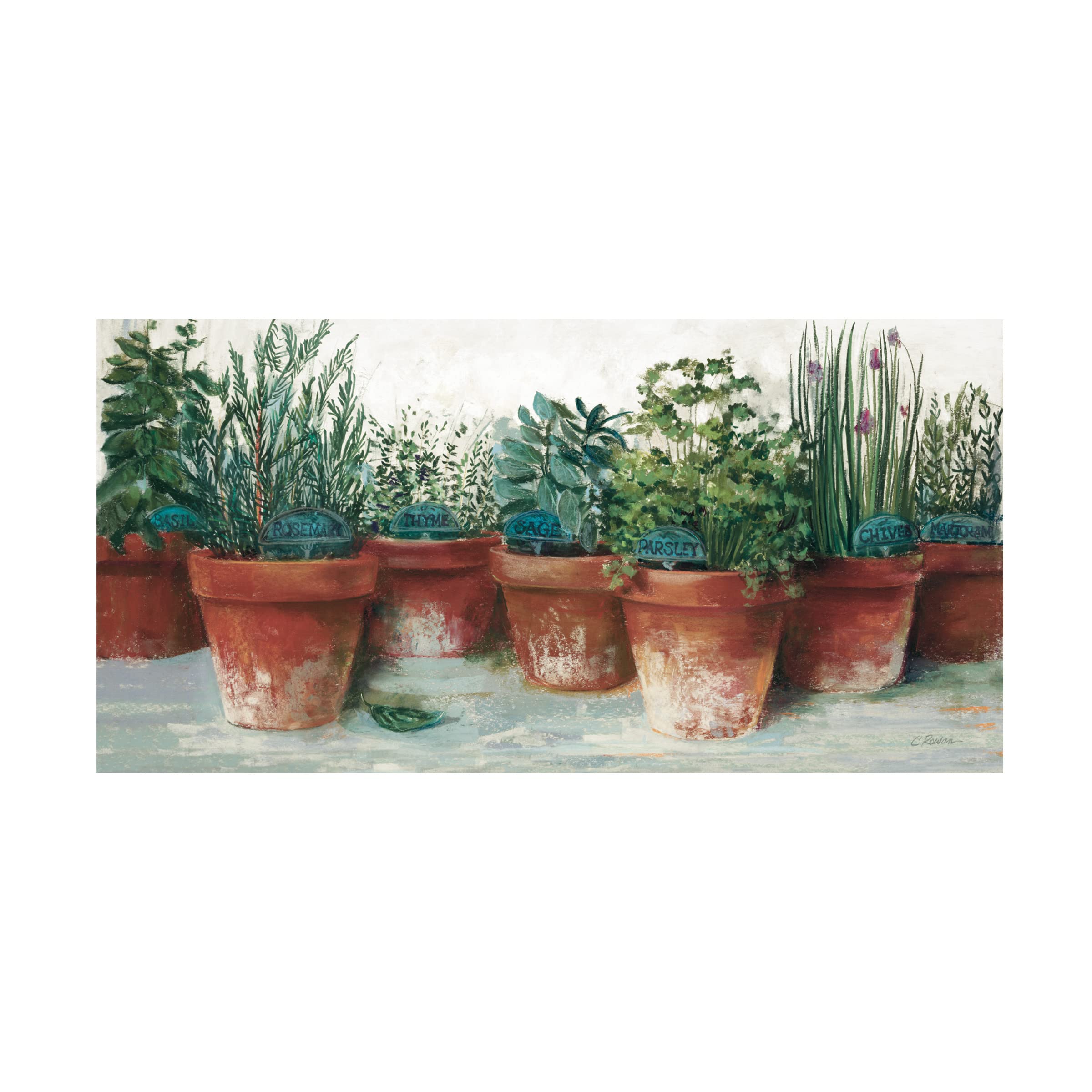 Carol Rowan 'Pots of Herbs II White' Floral Canvas Wall Art Print - 24x47 Inches, Modern Home Decor for Living Room, Bedroom & Office