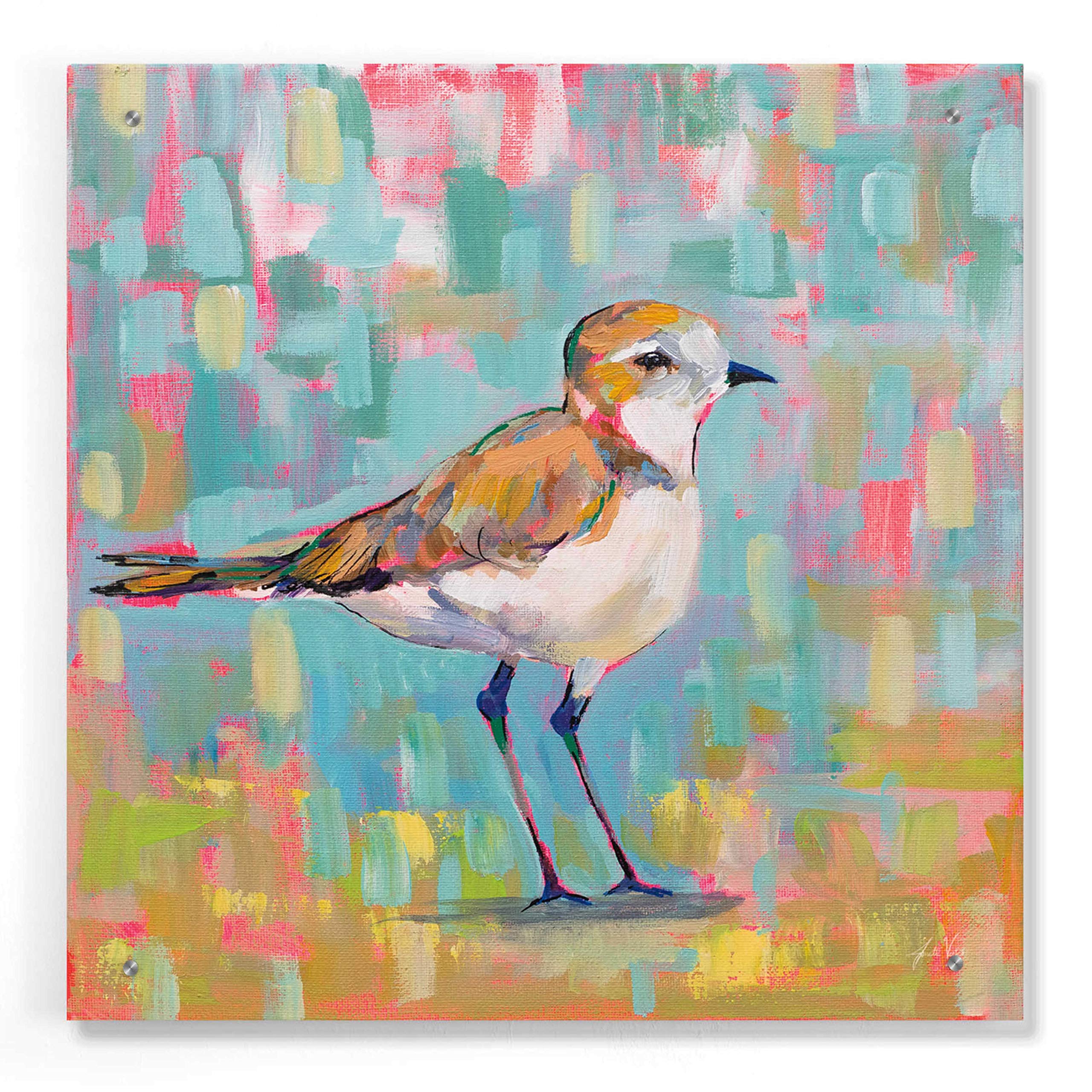 Epic 'Coastal Plover III' Acrylic Glass Wall Art by Jeanette Vertentes - 24x24 Inch Modern Beach Painting for Living Room, Bedroom & Office Decor