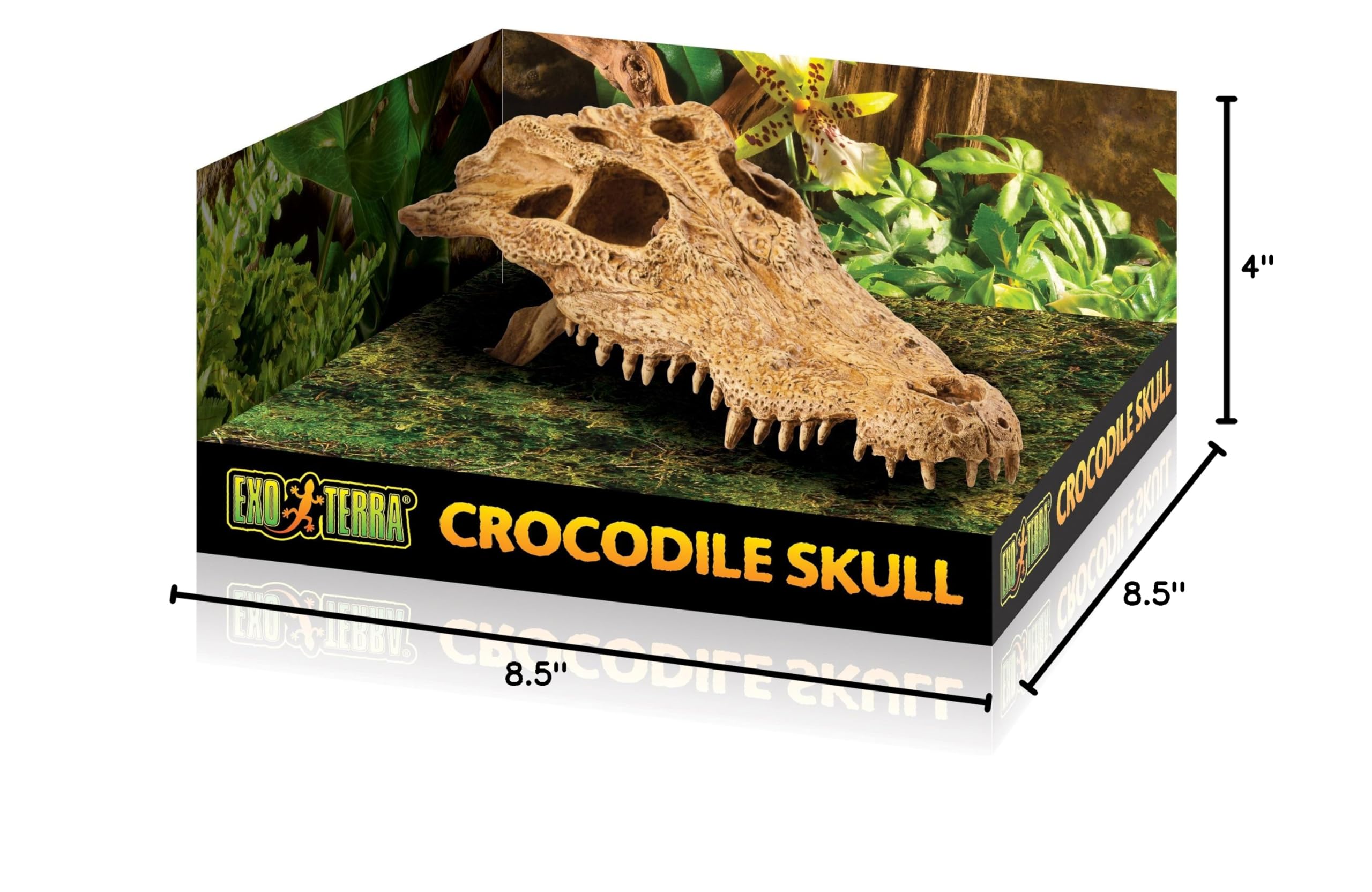 Exo Terra Realistic Crocodile Skull Terrarium Decoration - Perfect for Reptile Habitats, Aquariums & Gothic Home Decor