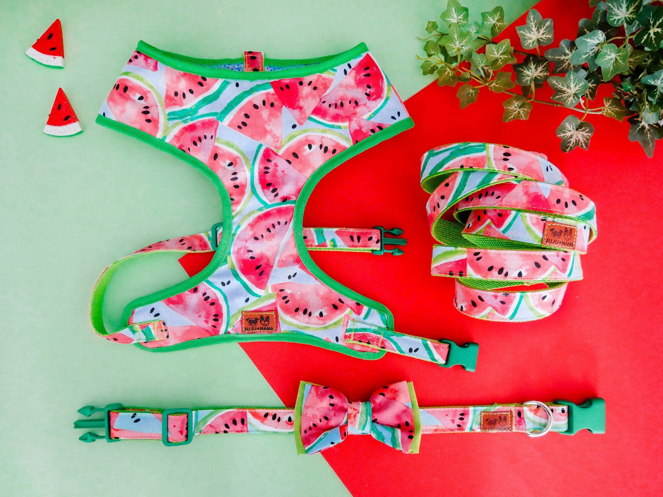 Premium Dog Harness Set with Watermelon Print - Adjustable & Comfortable for Small & Medium Dogs - Perfect for Walking, Hiking & Outdoor Adventures