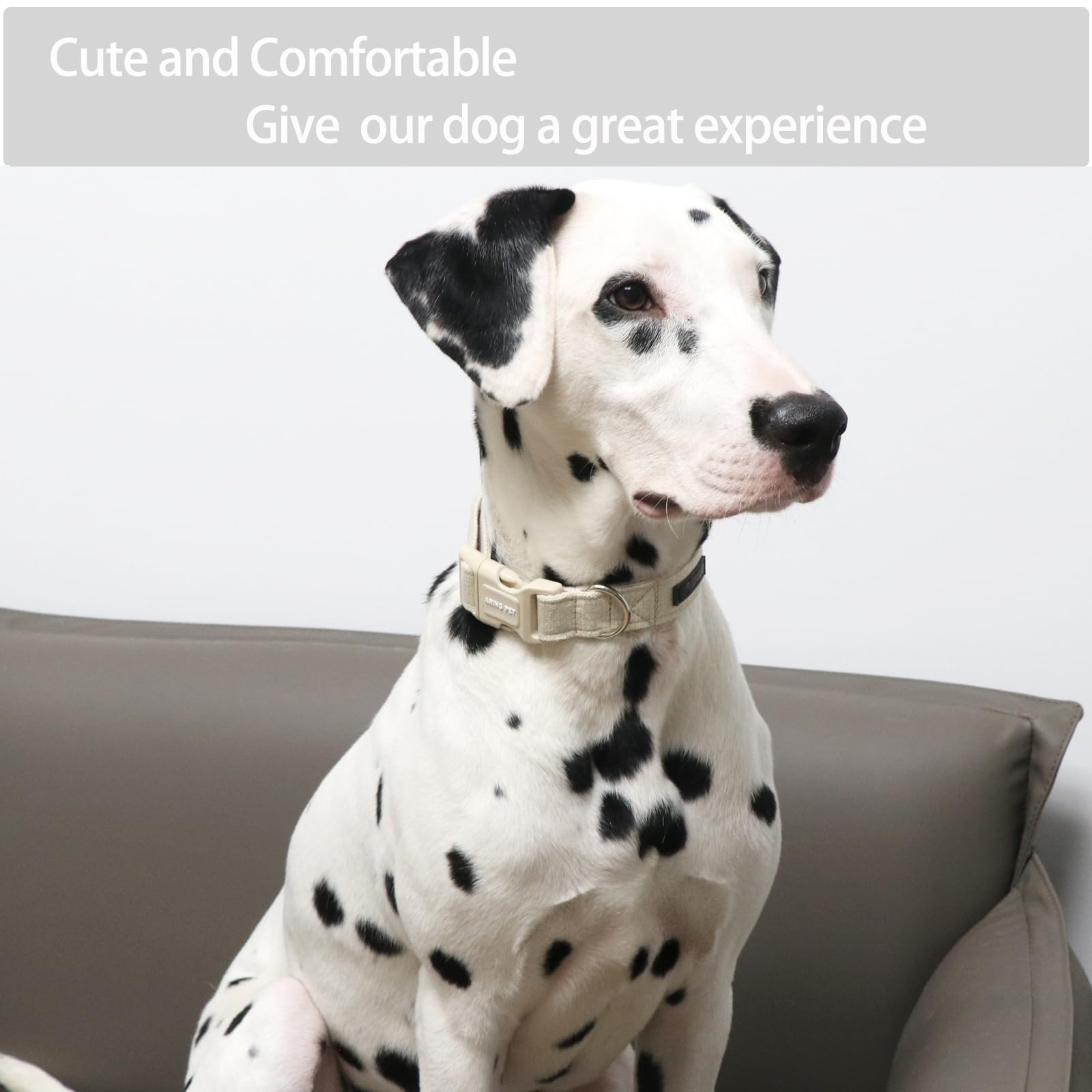 Soft Cotton Dog Collar with Quick Release - Comfortable for Small Medium Large Dogs - Perfect for Walks & Training