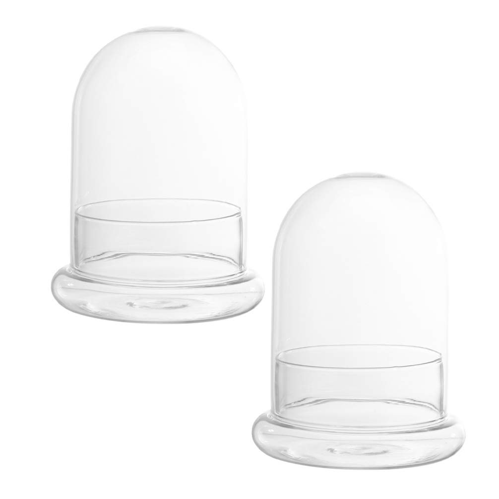 2-Pack Clear Glass Dome Vase - Slant Cut Terrarium Bubble Bowl for Plants, Flowers, Fruits | Decorative Centerpiece, Fish Bowl, Cloche Bell Jar for Home, Wedding & Office Decor