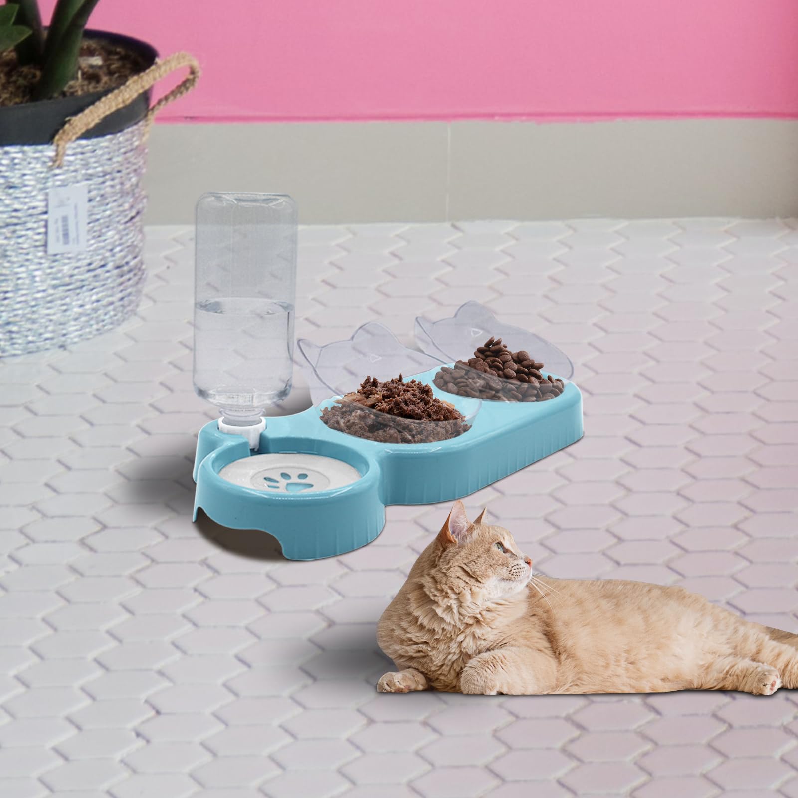 Elevated Triple Cat Bowls Set - 15° Tilted 3-in-1 Food & Water Feeder with Automatic Bottle | Whisker-Friendly Wet/Dry Feeding Dishes for Cats & Small Dogs | Durable Sky Blue Design | Perfect for Home, Kitchen or Travel Use