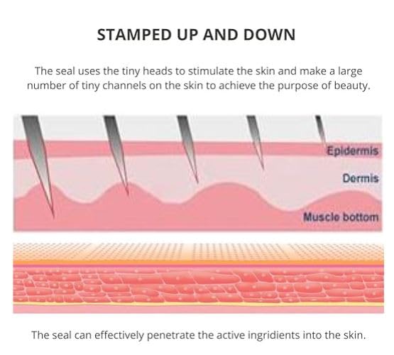 ADBERG Derma Roller 0.5mm 540 Titanium Needles - Professional Microneedling Roller for Beard & Hair Growth, Reduces Hair Loss, Stimulates Follicles, Repairs Damaged Hair - Men & Women - Perfect for Home Hair Care & Skin Rejuvenation