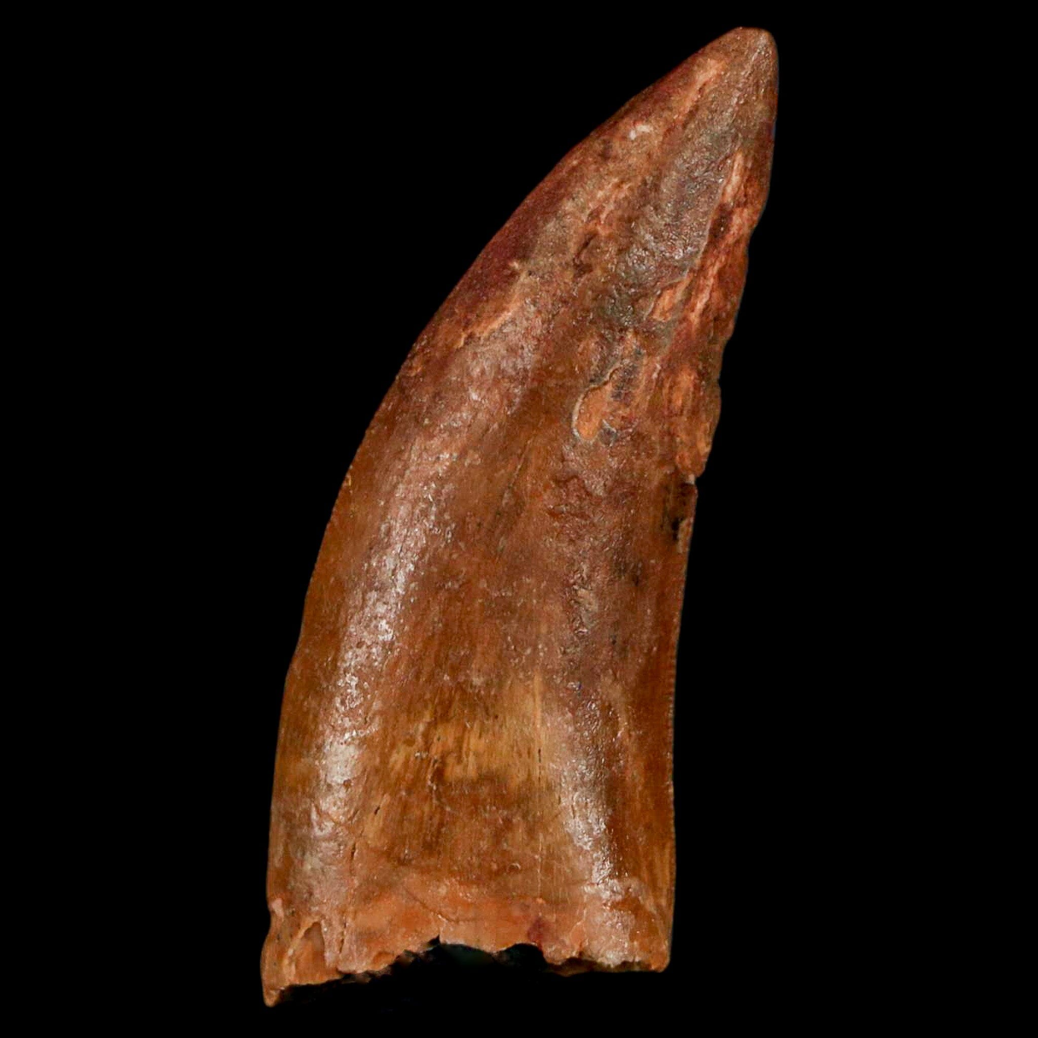 1.6