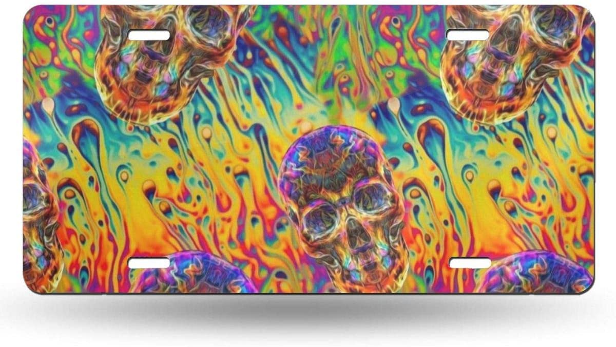 Vibrant Colored Paint Skull Design Aluminum License Plate - 6x12 Inch Durable Metal Car Tag for Vehicles, Trucks & Home Decor - Perfect for Gothic Style, Halloween Decorations & Automotive Customization