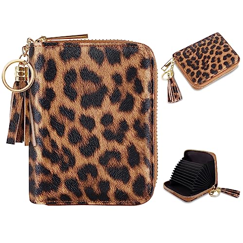 B Leopard