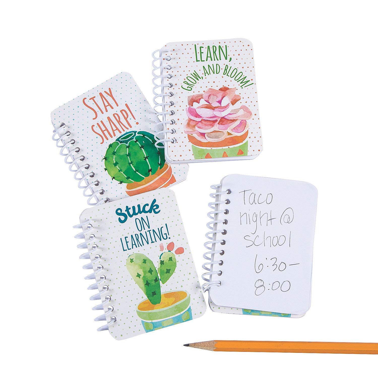 Fun Express Cactus and Succulents Spiral Notepads - 24-Pack - Educational Learning Activities for Kids - Perfect for Classroom, Homeschooling & Creative Writing Projects