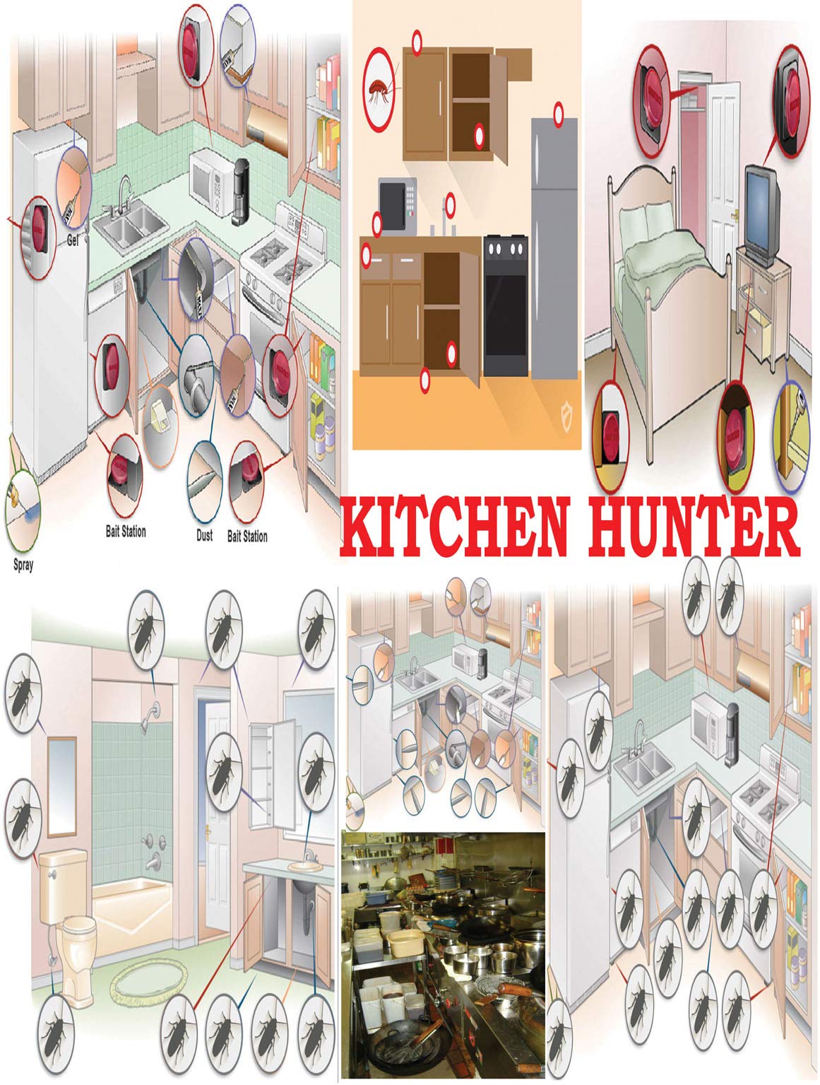 Kitchen Hunter Anti Cockroach Gel Bait - 50g (Pack of 2) | Effective Roach Killer for Home, Kitchen & Bathroom | Long-Lasting Pest Control Solution
