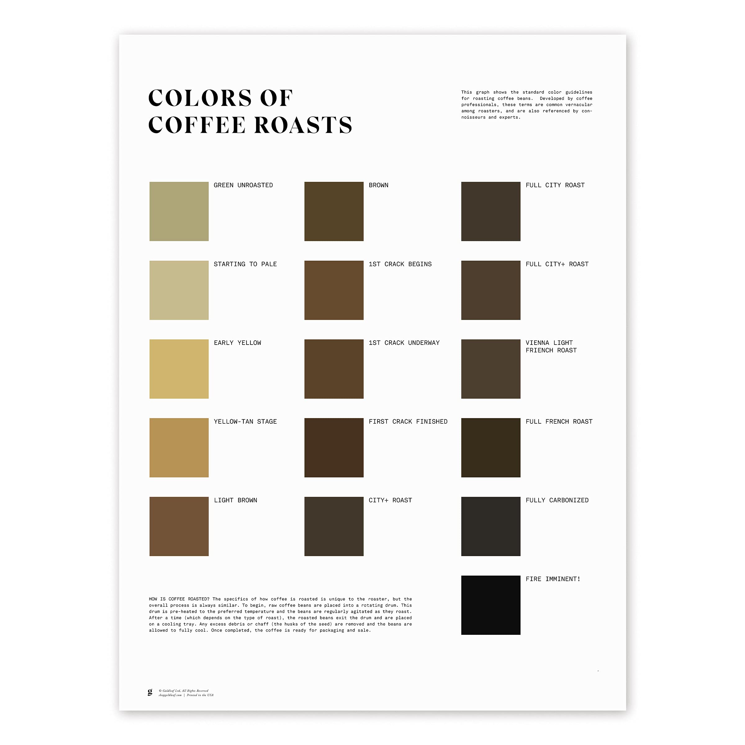 Goldleaf Coffee Roast Colors Wall Art - Minimalist Coffee Roasting Chart Poster for Kitchen, Office & Coffee Shop Decor - Educational Coffee Brewing Guide - 18x24 Inch Print (16 Roast Shades) | Perfect for Barista Training, Home Decor & Coffee Lovers Gifts