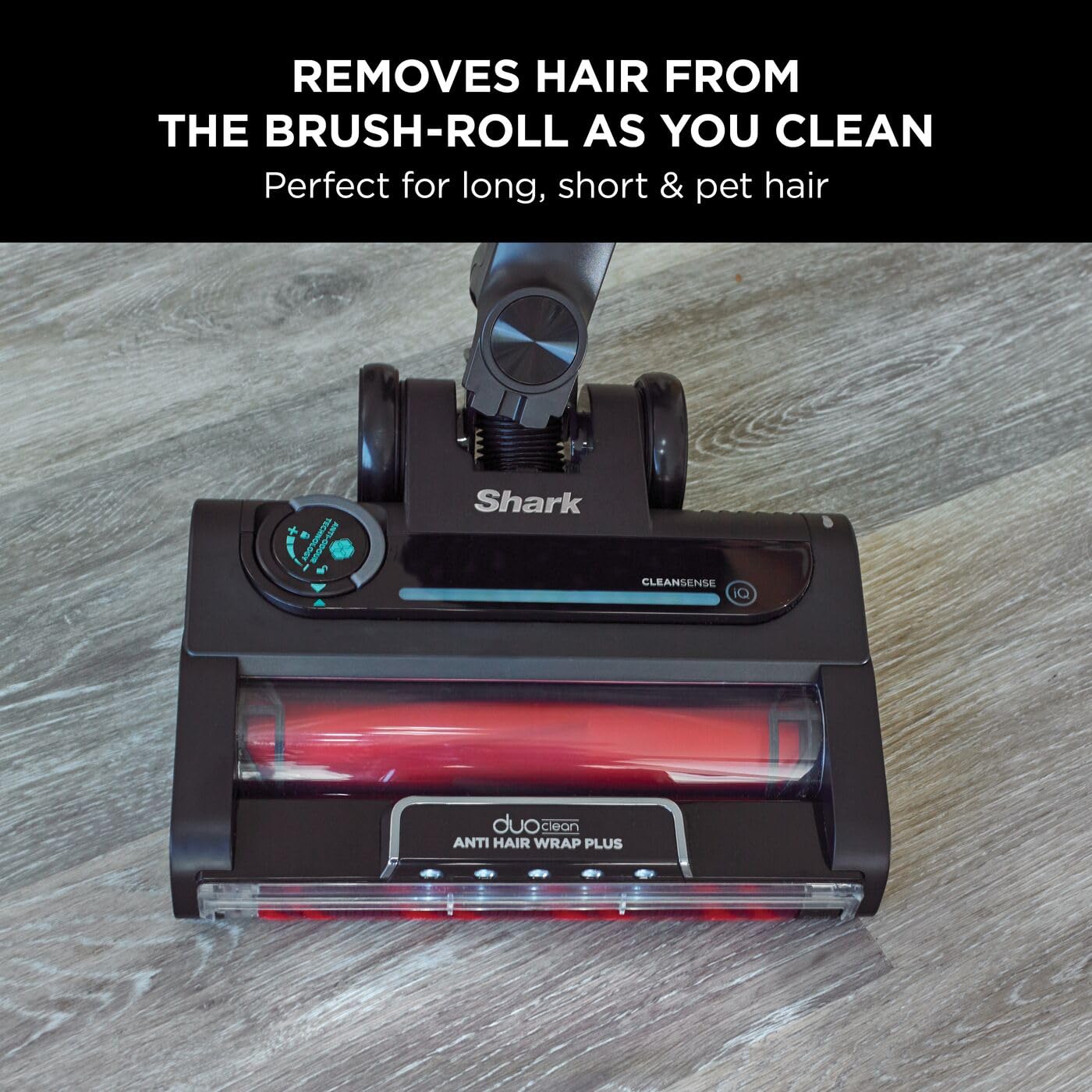 Shark Stratos Cordless Stick Vacuum Cleaner for Pet Hair - Anti Hair Wrap Plus, Clean Sense IQ, Anti-Odour Tech, 60 Min Runtime, Removable Battery, 3 Attachments (Charcoal/Brass) - Perfect for Hard Floors, Carpets & Pet Owners