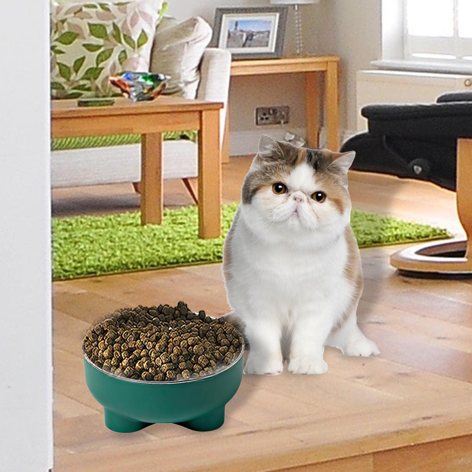 **Enakshi Medium Dog Bowl - Non-Slip Pet Food Dish for Dogs & Cats, Green | Durable Feeding Container for Home, Travel & Outdoor Use | Pet Supplies, Dog & Cat Bowls**