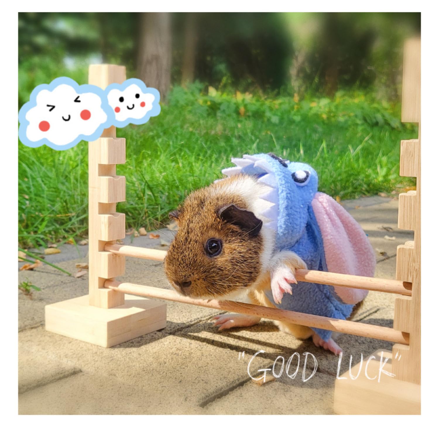 Natural Wood Guinea Pig Jump Bar Set - Adjustable Height Small Animal Training Hurdles for Rabbits, Chinchillas & Dwarf Pets - Fun Obstacle Course Toy for Exercise & Playtime Activities