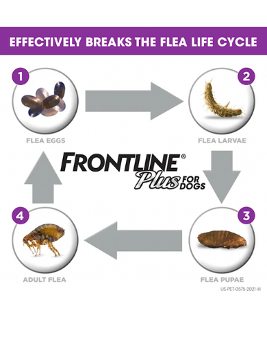 Frontline Plus Flea & Tick Treatment for Large Dogs 20.1-40kg (2 Sizes) | Fast-Acting Protection for Dogs Over 45lbs | Home & Outdoor Use