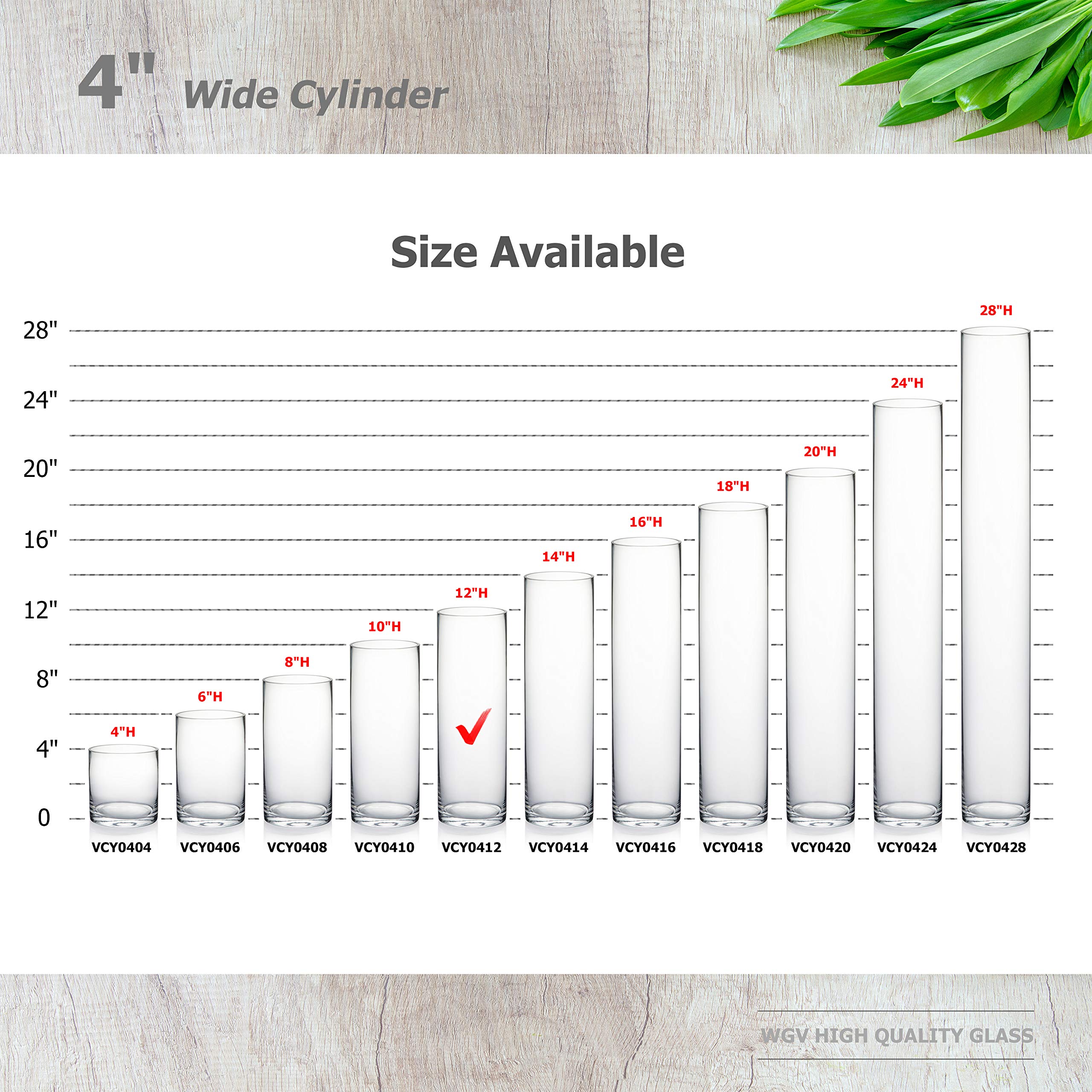 Premium Clear Glass Cylinder Vases - 4