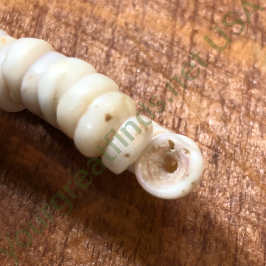 Vintage Natural Hawaiian Puka Shell Turquoise Necklace - Handmade Beach Jewelry for Women, Boho Style Layering Necklace, Perfect for Summer Vacations, Beach Parties, and Casual Outfits