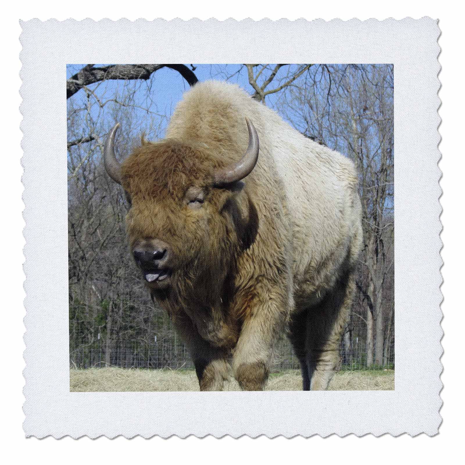 3D Rose American Bison Buffalo Quilt Square - 14x14 Inch Home Decor for Wall Hanging, Bedding, and DIY Craft Projects