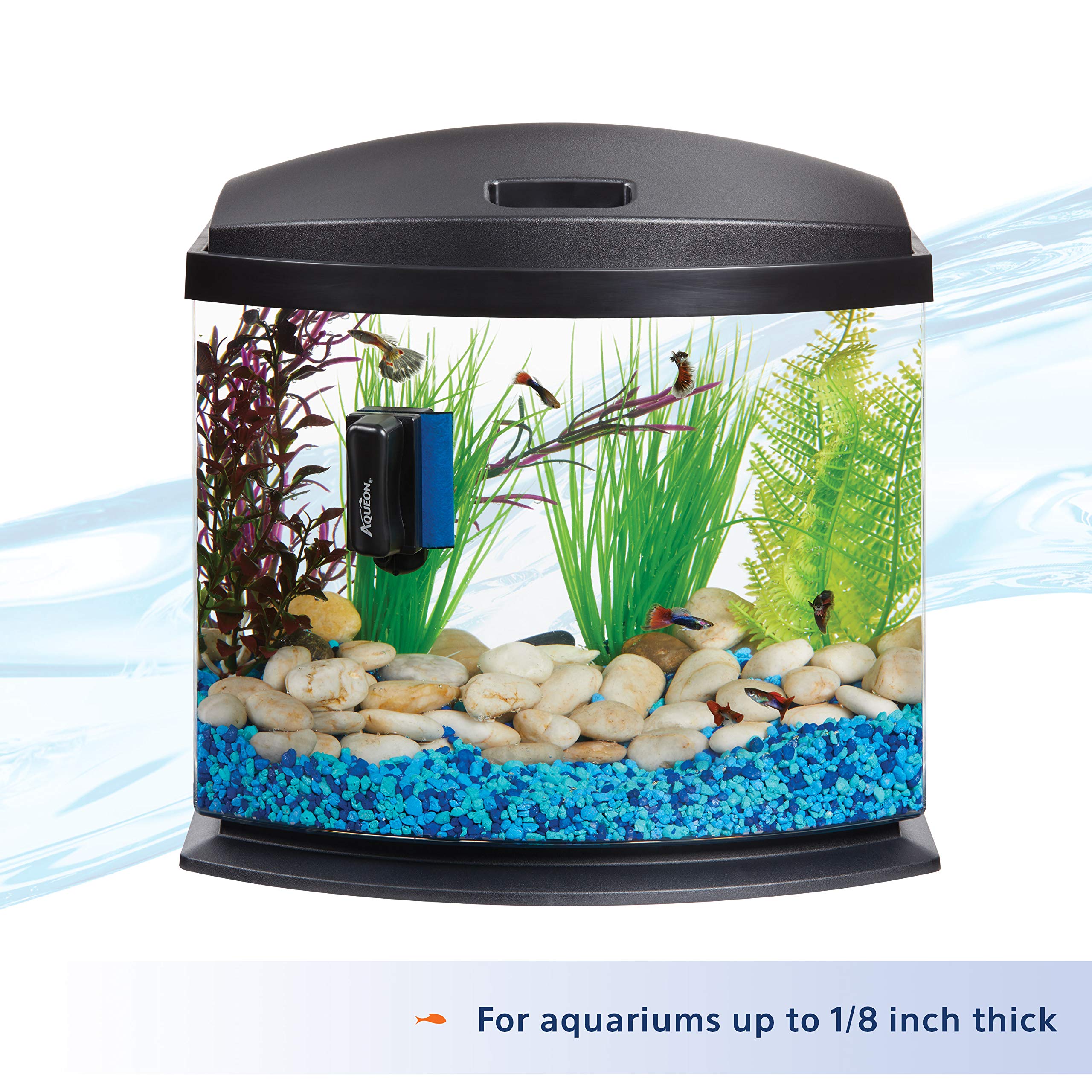 Aqueon Mini Aquarium Cleaning Magnets for Glass & Acrylic Tanks - Perfect for Small Fish Tanks, Nano Aquariums, and Betta Bowls