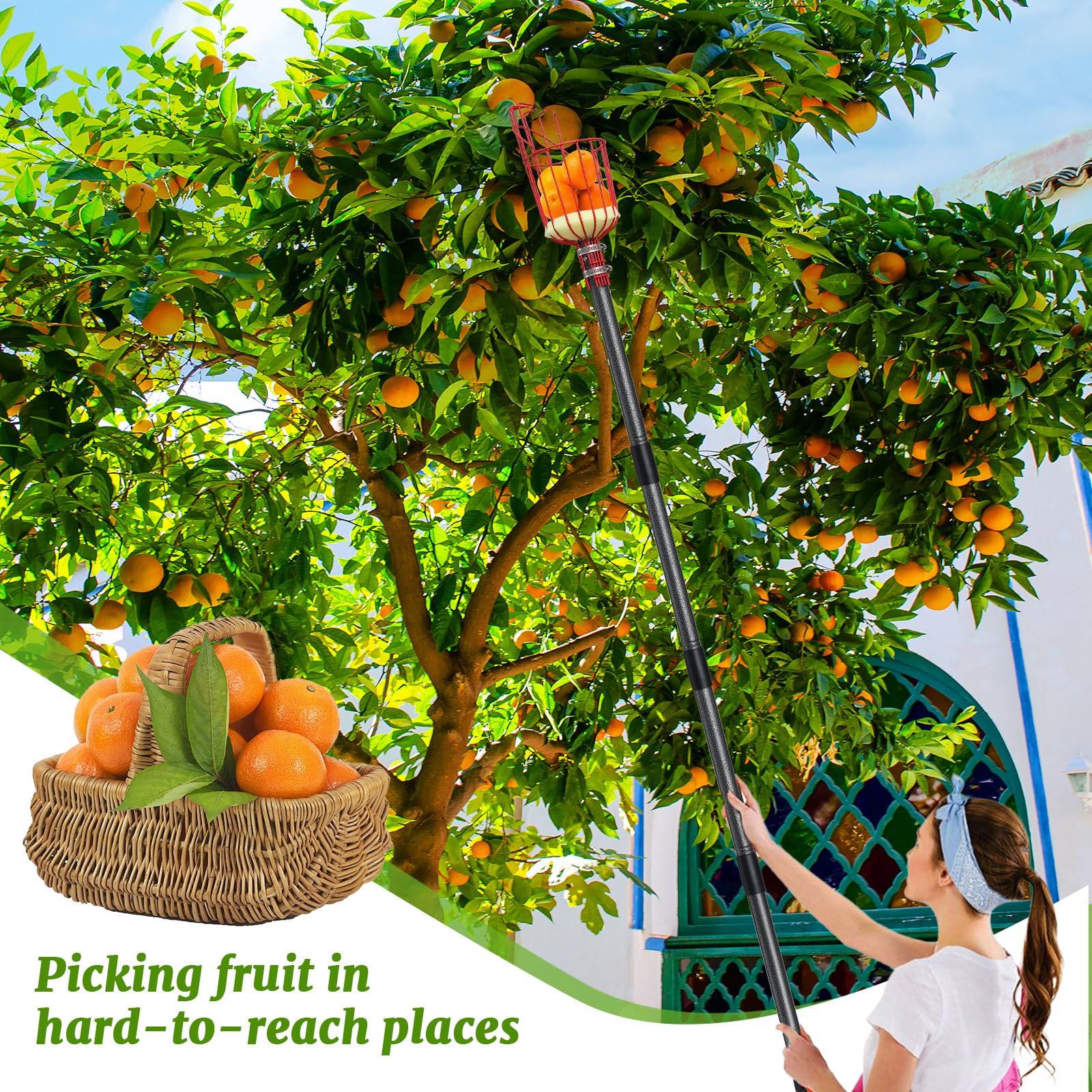 Premium 15FT Coconut Picker Tool with Basket - Easy to Assemble Fruit Harvester for Coconut, Mango & Avocado | Perfect for Home Garden, Farm & Orchard Harvesting