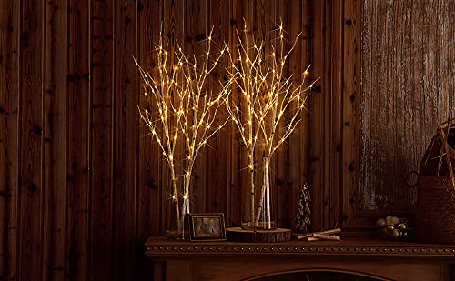 Fudios 30IN Battery Operated LED Birch Twig Lights with Timer - 100 Warm White LEDs for Indoor/Outdoor Holiday Decor (2-Pack) | Perfect for Winter Centerpieces, Vase Fillers, and Seasonal Home Decoration