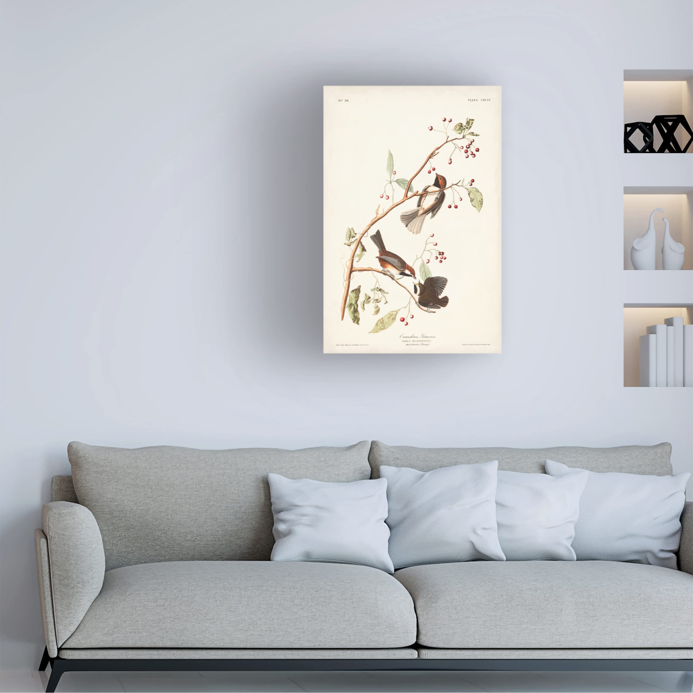 John James Audubon Canadian Titmouse Fine Art Canvas Print - 30x47 Inches - Wildlife Bird Wall Decor for Living Room, Bedroom & Office