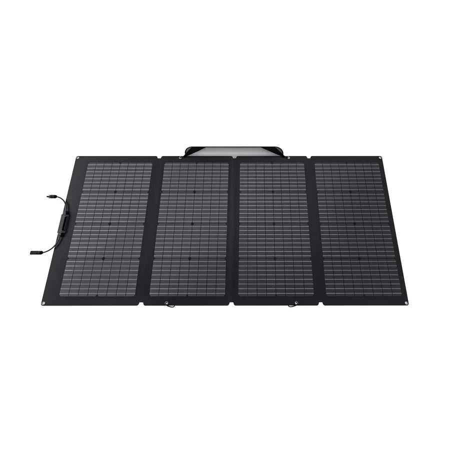 EcoFlow DELTA 2 Portable Power Station with 220W Solar Panel | Solar Generator for Camping, RV, Home Backup & Emergency Power | Fast Charging, Expandable Capacity, Clean Energy Solution