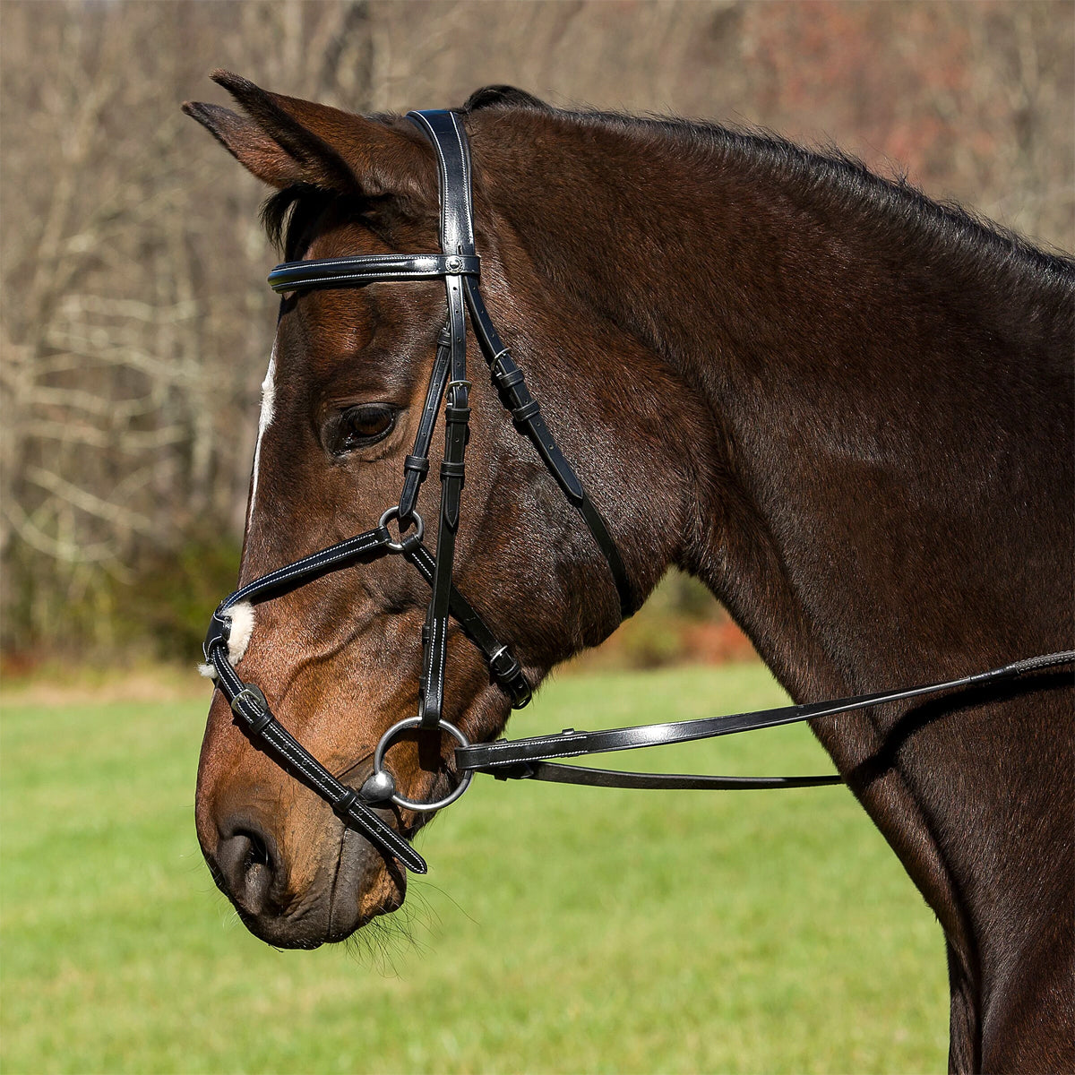 HDR Pro Mono Crown Raised Figure Eight Bridle with Rubber Reins - Premium Equestrian Headgear for Dressage & Show Jumping - Perfect for Training & Competition Riding