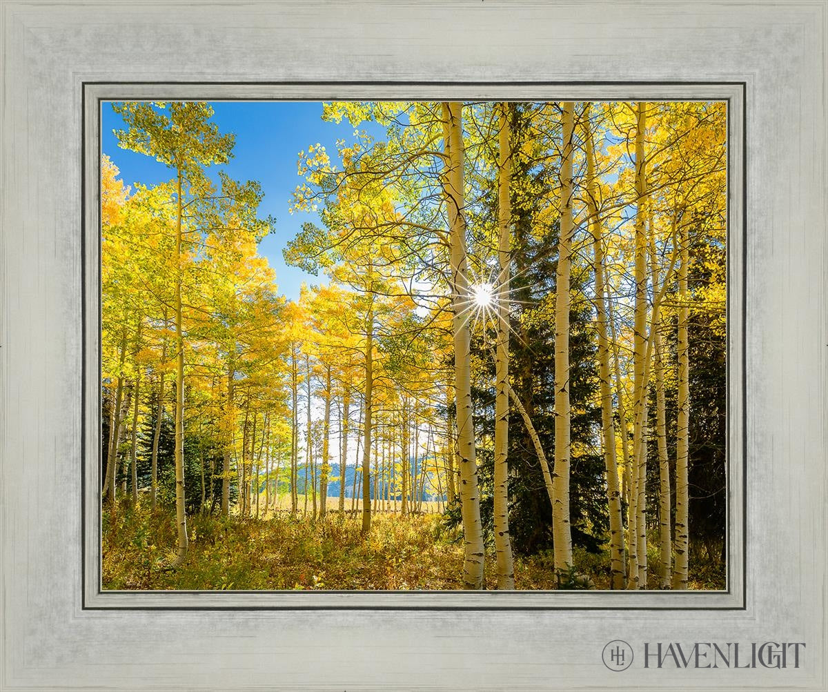 Autumn in the Rocky Mountains - Stunning Fall Foliage at Wasatch National Forest Utah | Perfect for Hiking, Photography & Nature Exploration
