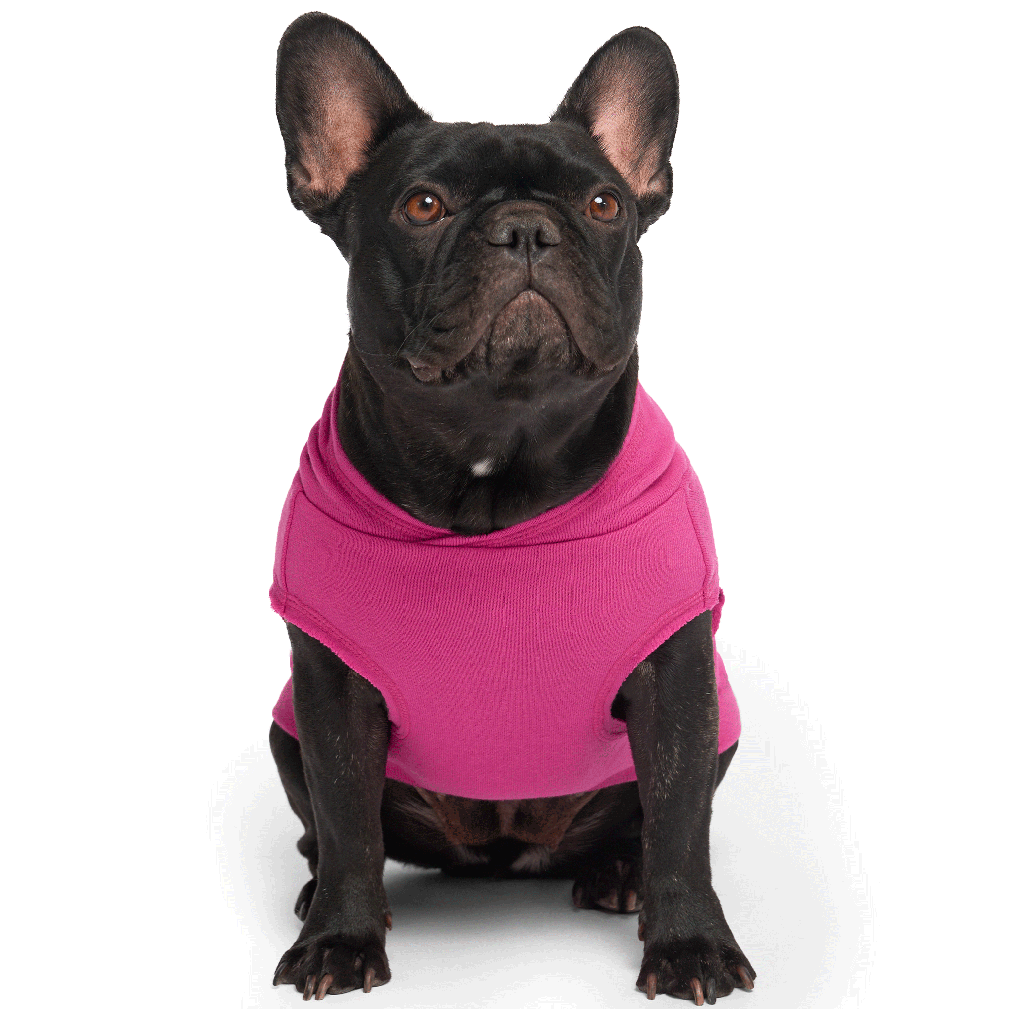 Barbie™ No Authority Hoodie - Dark Pink Pullover Sweatshirt for Women | Casual Streetwear Fashion | Perfect for Everyday Wear & Outings