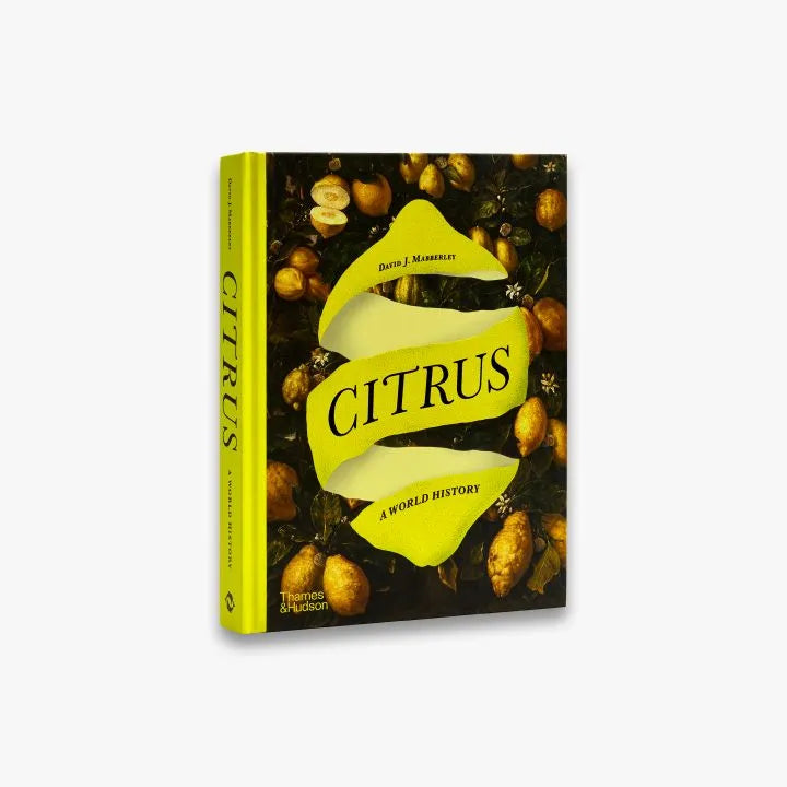 Fresh Organic Citrus Fruits - Oranges, Lemons, Limes & Grapefruits - Perfect for Juicing, Cooking & Healthy Snacking