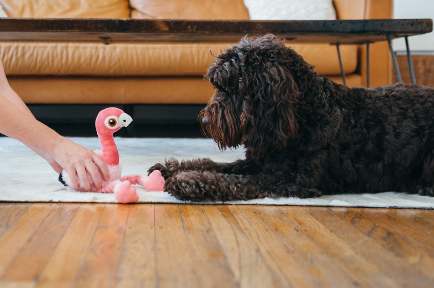 Flora the Flamingo Plush Dog Toy - Soft & Durable Fetching Flock™ Chew Toy for Small & Medium Dogs | Perfect for Playtime, Training & Cuddling | Pet P.L.A.Y.