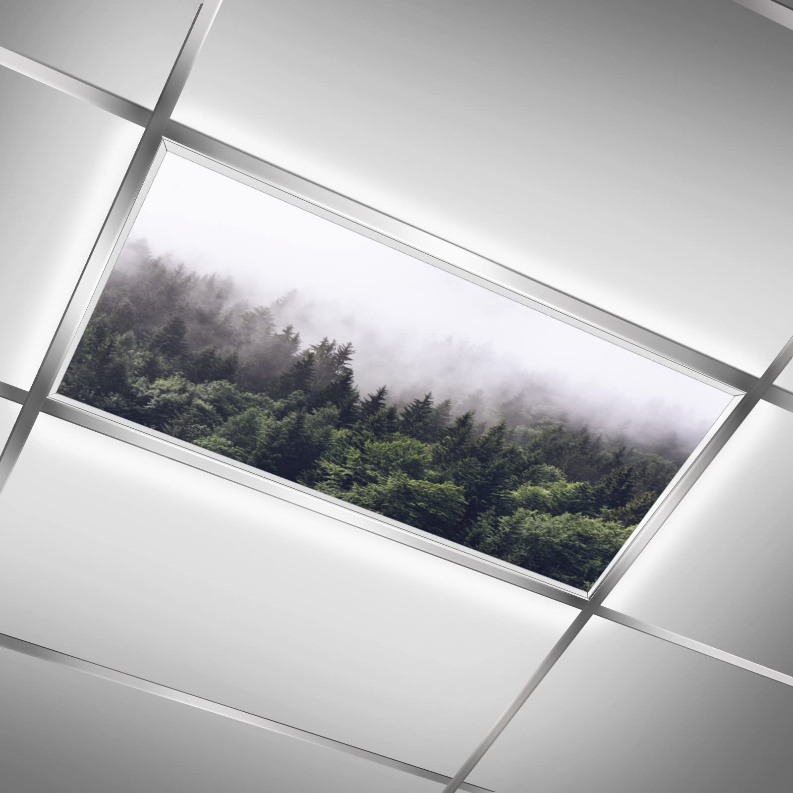 2ft x 4ft Fir Forest Fluorescent Light Cover Panel - Decorative Ceiling Light Filter for Classroom & Office Drop Ceiling Tiles | Creates Nature-Inspired Ambiance for Relaxing Workspaces