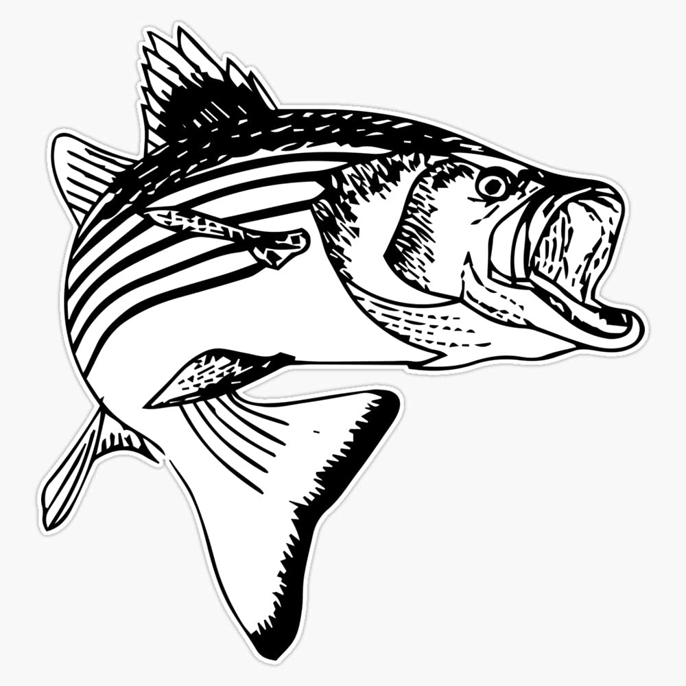 Waterproof Striped Bass Vinyl Sticker - 5