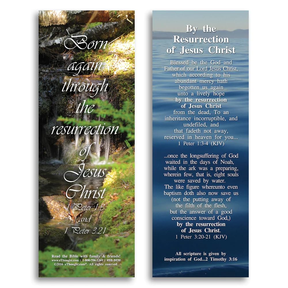Set of 25 Bible Reference Cards (2