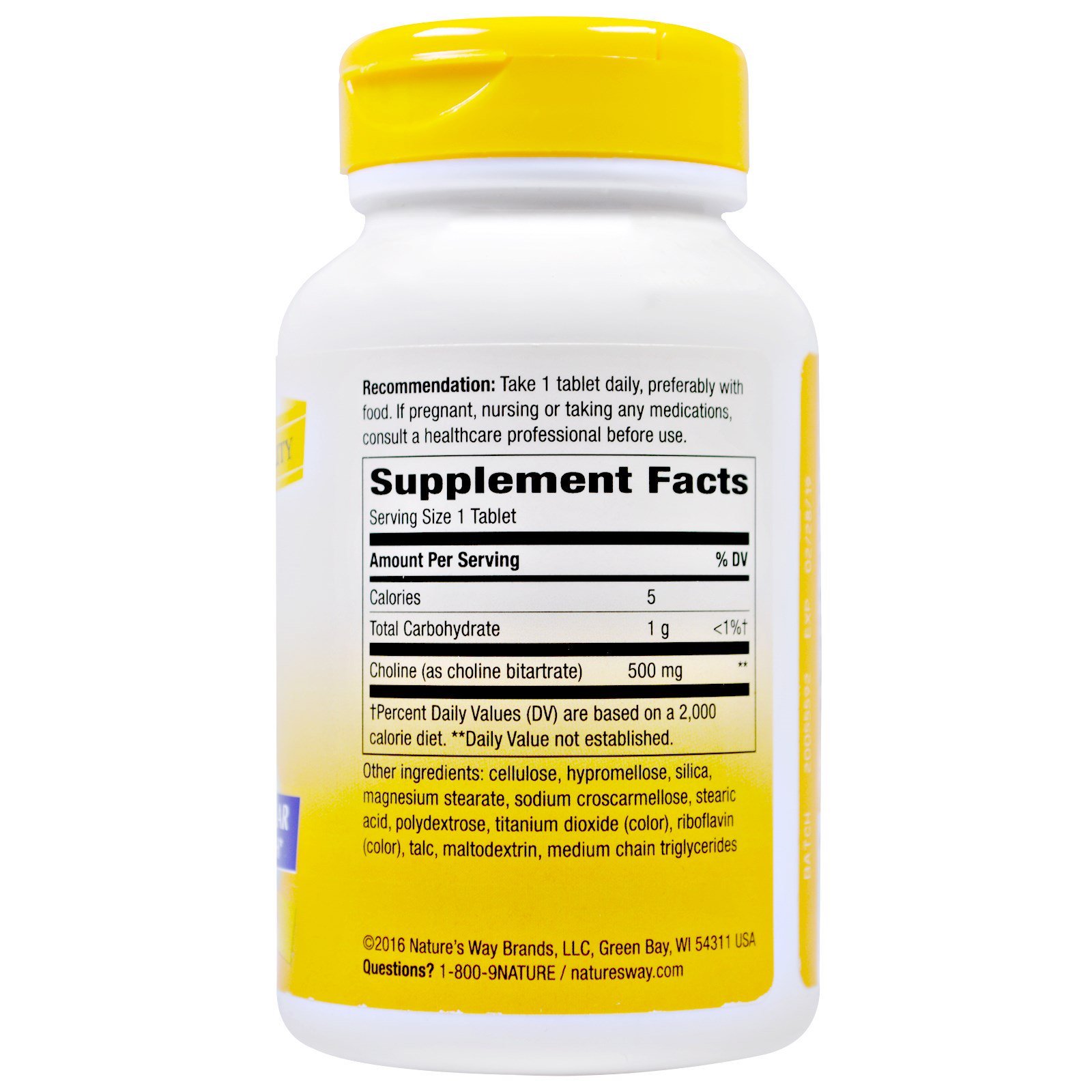 Nature's Way Choline 100 Tablets - Supports Brain Health & Liver Function - Ideal for Cognitive Enhancement & Detox Support
