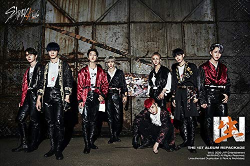 STRAY KIDS [IN生 / IN LIFE] 1st Repackage Album STANDARD A Version - CD, 72p Photo Book, 2 Photo Cards, Post Card & Tracking Code | K-POP Sealed Collectors Edition | Perfect for K-POP Fans, Album Collectors and Gift Giving