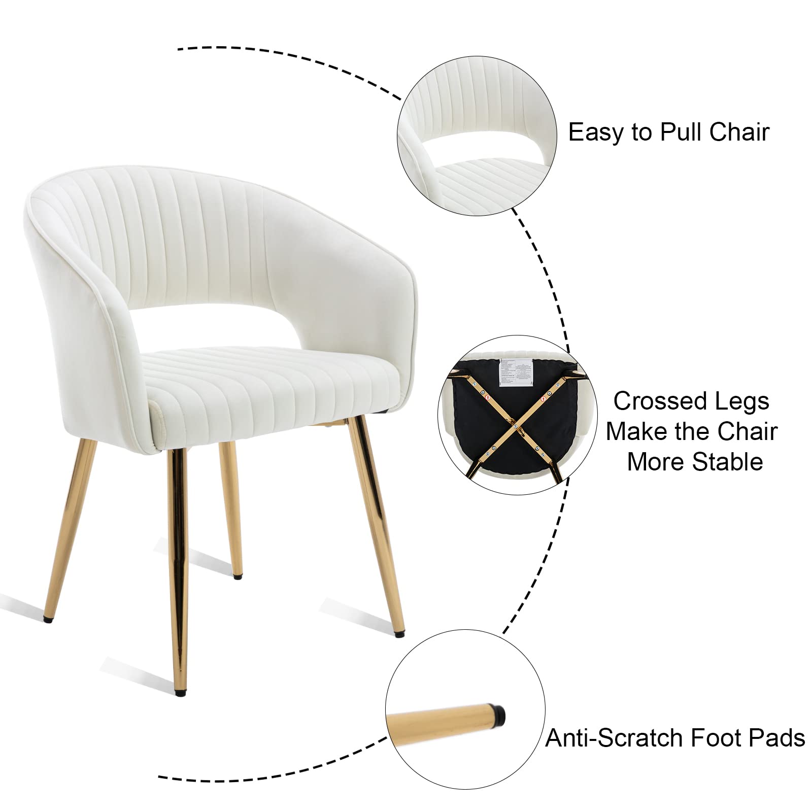Modern Velvet Upholstered Accent Chairs with Gold Legs - Set of 2 Hollow Back Dining Chairs with Quilting Padded Cushion for Living Room, Guest Room, or Side Seating - Cream Indoor Furniture (2-Pack)