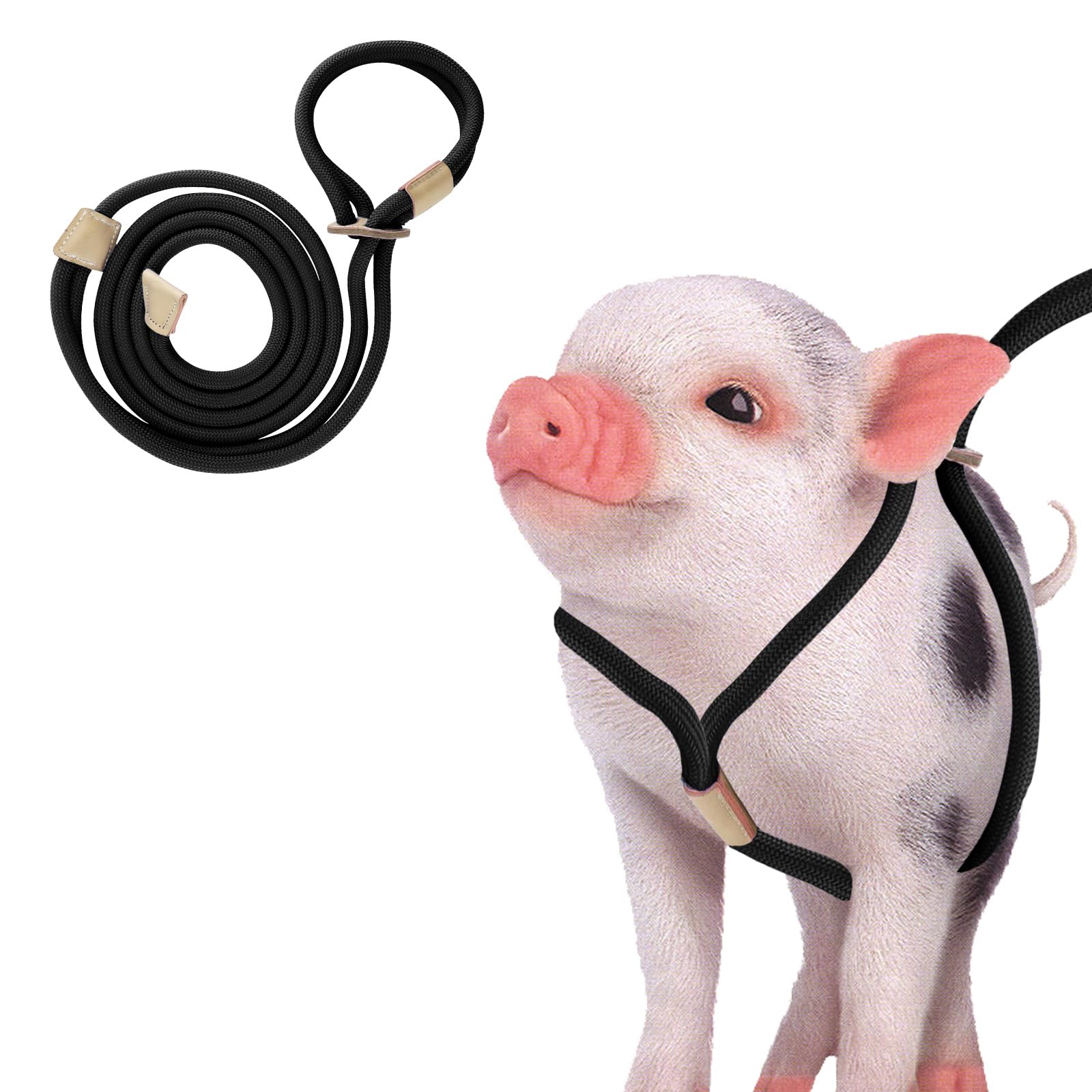 Mini Pig Supplies - Adjustable Pig Harness & 8ft Leash for Small to Medium Pet Pigs - Perfect for Outdoor Walks, Training & Travel Accessories