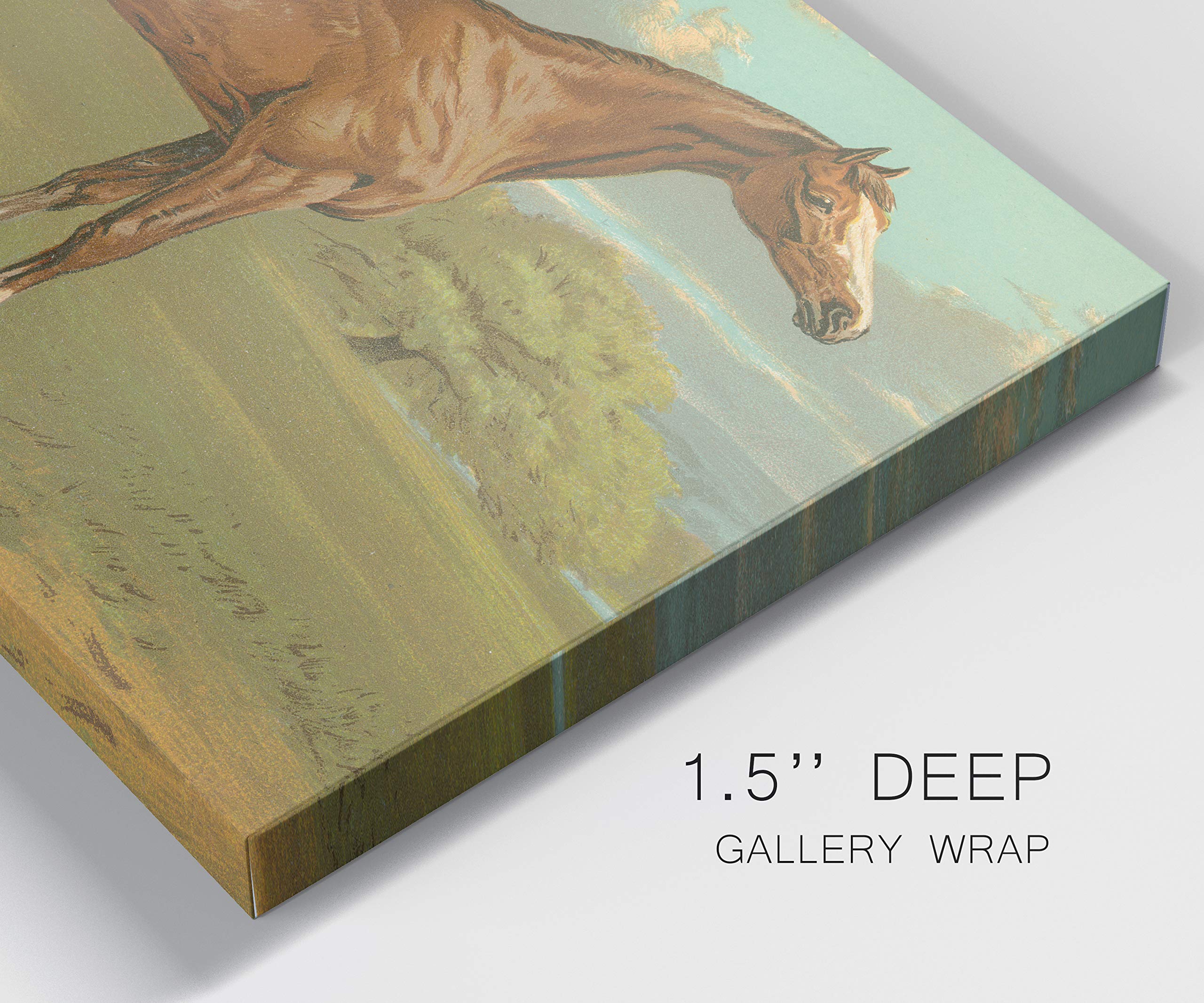 Premium Gallery Wrapped Canvas Wall Art - Handsome Brown Horse in Green Grass & Blue Sky | 32x48 Inches | Ready to Hang | Made in USA | Perfect for Living Room, Bedroom & Office Decor