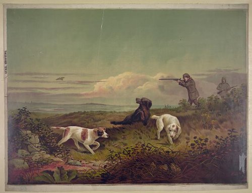 Vintage 1879 Quail Hunting Photo - Hunters, Dogs & Clouds - Perfect for Historical Decor, Hunting Enthusiasts & Antique Collectors