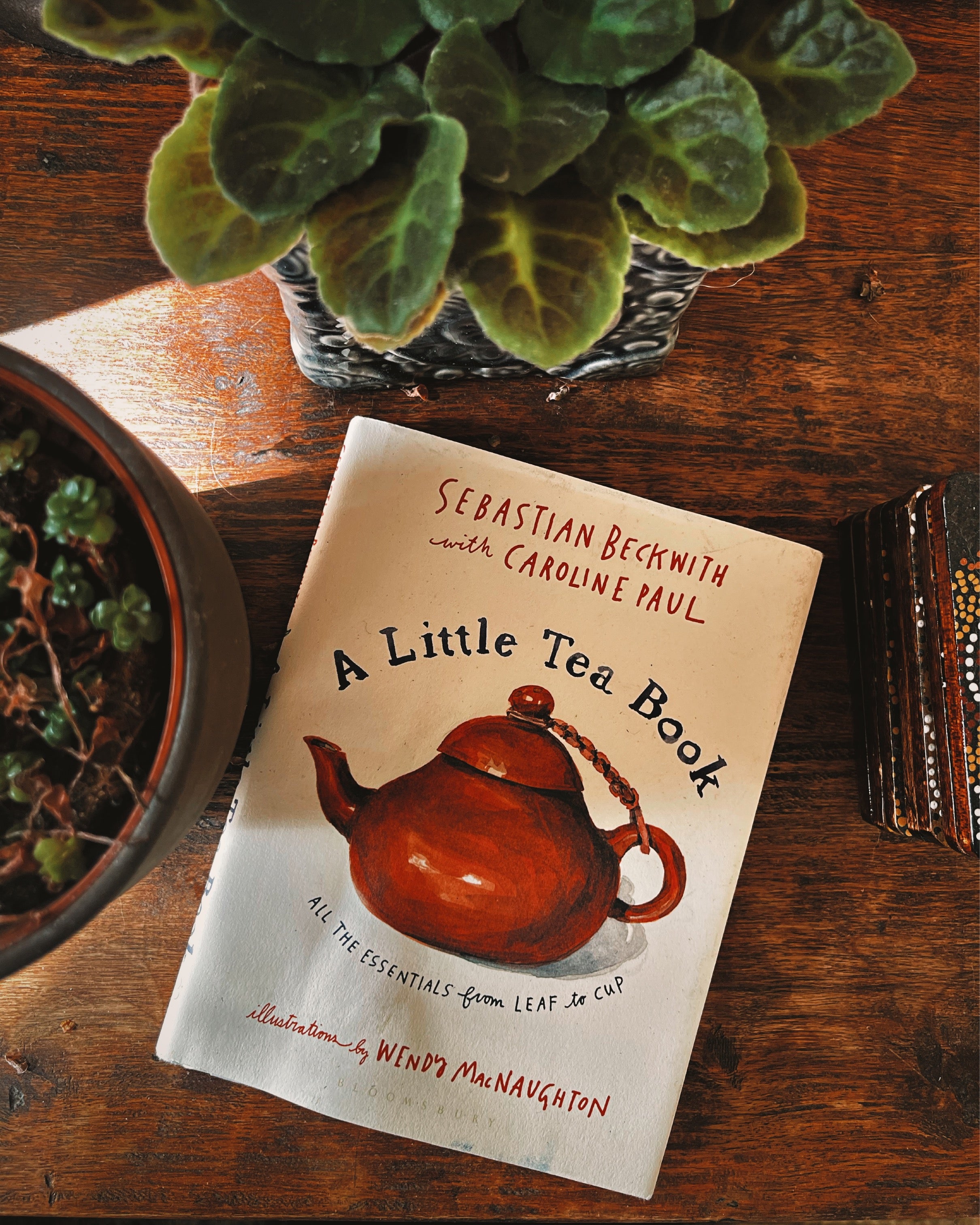 A Little Tea Book by Sebastian Beckwith & Caroline Paul - Tea Guide for Beginners, Brewing Tips & Tea Culture | Perfect Gift for Tea Lovers, Home Relaxation & Afternoon Tea Time