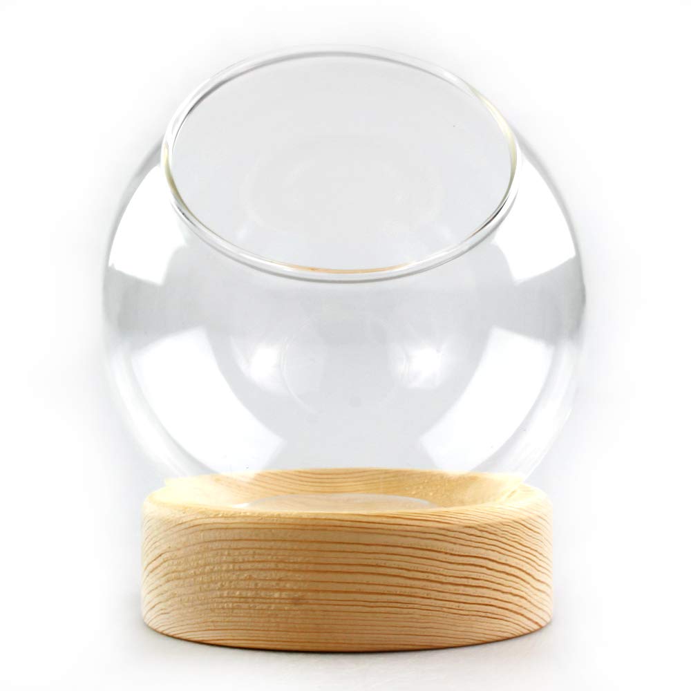 Premium Glass Dome Terrarium with Wood Base - Ideal for Air Plants, Succulents, Mini Gardens & Home Decor - Small Glass Display Case for DIY Crafts, Wedding Centerpieces & Office Desk Decor
